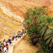 Circuit Sahara & Oasis – 6 jours